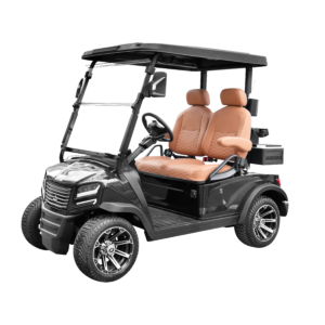 Sierra EV AX5 2 Passenger