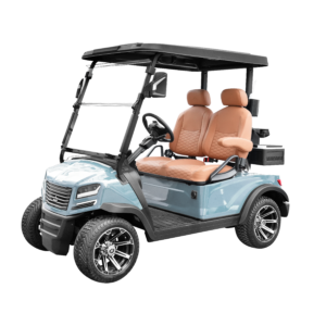Sierra EV AX5 2 Passenger