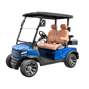 Sierra EV AX5 2 Passenger