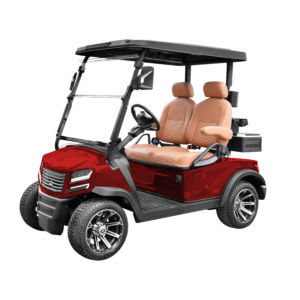 Sierra EV AX5 2 Passenger
