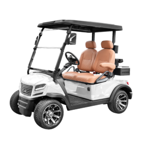 Sierra EV AX5 2 Passenger
